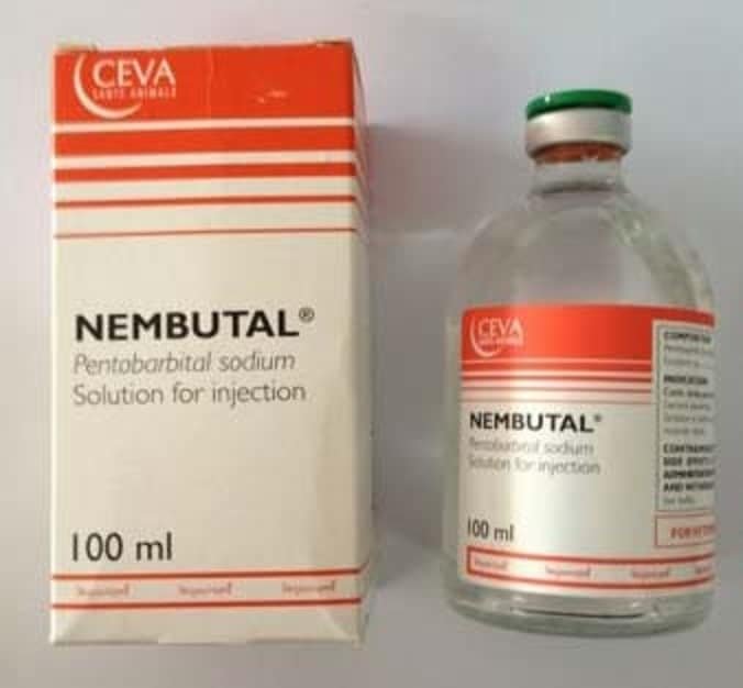 Excellent information about the safe methods to purchase Nembutal for sale online and buy amphetamine oil online
